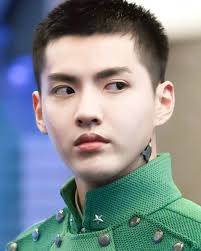 It also reposted a notice from the police. You çŽ‹è‚– å´äº¦å‡¡ Wu Yifan Fan Club Kris Wu Wu Yi Fan Fan