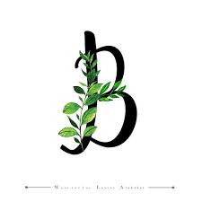 Black And White Letters Png Letter B With Watercolor Leaves Background Watercolor Color Floral Png And Vector With Transparent Background For Free Download Watercolor Lettering Alphabet Wallpaper Flower Designs