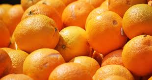 How Discarded Orange Peels Transformed a Barren Landscape Into a Lush Forest - EcoWatch