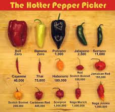 Disclosed Spiciness Chart Pepper Scoville Chart 2019 Sweet