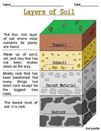 View, download and print soil ation worksheet pdf template or form online. Soil Worksheets Teachers Pay Teachers