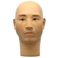 Male Display Head in Grey