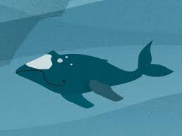 What Is That Jay Pixel Art Characters Animation Design Whale Drawing