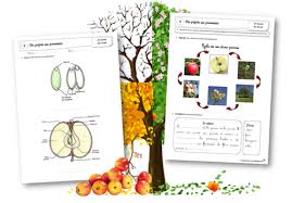 Competence Vous Avez Dit Competence 2 Pomme Theme Pomme Science