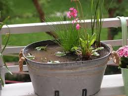 Individuelle Mobel Selber Bauen Miniteich Vorgarten Ideen Wasserteich