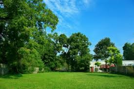 Compare pricing for medical facilities in lexington park, md. Pet Boarding Boarding In Lexington Broadway Veterinary Clinic