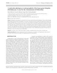 Image result for Orthochilus euanthus