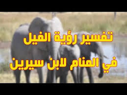 ورؤية أكل المانجا في المنام تدل على الخير وزوال. ØªÙØ³ÙŠØ± Ø­Ù„Ù… Ø§Ù„ÙÙŠÙ„ ÙÙŠ Ø§Ù„Ù…Ù†Ø§Ù… Ù„Ù„Ø¹Ø²Ø¨Ø§Ø¡ Ù„Ù„Ù…ØªØ²ÙˆØ¬Ø© Ù„Ù„Ø­Ø§Ù…Ù„ Ø¨Ø§Ù„Ù†Ø³Ø¨Ø© Ù„Ø¥Ø¨Ù† Ø³ÙŠØ±ÙŠÙ† Ù…ÙˆØ³ÙˆØ¹Ø© Ø¥Ù‚Ø±Ø£