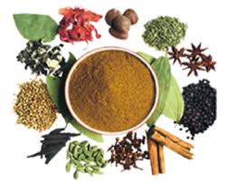 garam masala png 5 png image 1401693 png images pngio garam masala png 5 png image 1401693