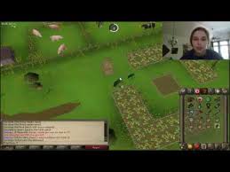 Osrs Herb Run Patch Location Guide Youtube