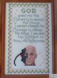14/inch or 55/100mm design size: Serenity 2 Resistance Is Futile Steotch Fine Needleart