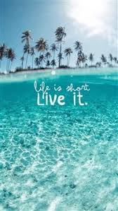 Nice Fond D Ecran Iphone Samsung Mobile Hd 4203 In 2020 Summer Wallpaper Live Wallpaper Iphone Iphone Wallpaper Tropical