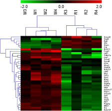 The amount paid is calculated at 0.5% of the employee's monthly earnings (according to 24 wage classes as in the contribution table & rates below) along with. Feifukang Ameliorates Pulmonary Fibrosis By Inhibiting Jak Stat Signaling Pathway Springerlink