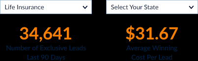 Average age of leads is 43. Life Insurance Leads Online Pay Per Lead Service Service Direct