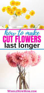 How to make gel capsules. How To Make Flowers Last Longer Plus The Best Method Of All
