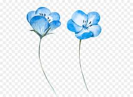 Watercolor Painting Blue Flower Light Blue Watercolor Flowers Png Is About Is About Blue Plant Flowe Watercolor Flowers Blue Flower Png Flower Illustration