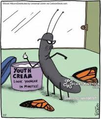 All of these images are handmade by me. Butterfly Puns