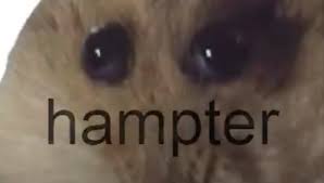 Hampter Know Your Meme This image showing off lady dimitrescu's full size graced my eyes today and i could not stop my hand from acting out. know your meme