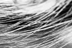 Check spelling or type a new query. Great Photography Ideas For When You Are Stuck Indoors