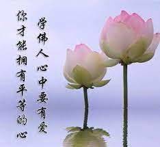 学佛人心中要有爱 你才能拥有平等的心 lời hay y đẹp