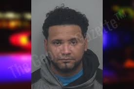 Emerson Vasquez Martinez — Gwinnett County Jail Bookings