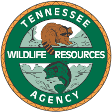 The minimum license required to fish and/or hunt small game statewide. Tennessee Wildlife Resources Agency Home Facebook