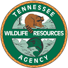 Tennessee game and fish license : Tennessee Wildlife Resources Agency Home Facebook