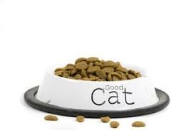 Perlu diakui bahwa makanan kering atau dry food adalah tipe makanan kucing yang memiliki segudang kelebihan. Jenis Makanan Kucing Persia Yang Bagus Anggora Bengal Yang Terbaik Royal Canin Dan Harganya Super Premium Harga Makanan Ku Makanan Kucing Makanan Kucing Persia
