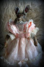 Bella The Taxidermy Hare Etsy Taxidermy Hare Anthropomorphic