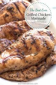 The Best Ever Grilled Chicken Marinade Borrowed Bites Recipe In 2020 Chicken Seasoning Recipes Grilled Chicken Marinade Chicken Marinades