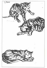 Poole original pen/ink drawing pa game news wildlife illustration skunk! Franz Marc 1880 1916 German