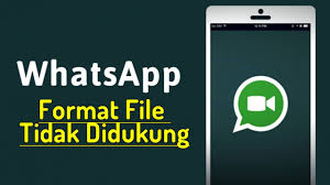 Sehingga kalian tidak perlu panik lagi saat mengalami kondisi tersebut. Cara Mengatasi Format File Tidak Didukung Saat Kirim Video Di Whatsapp Youtube