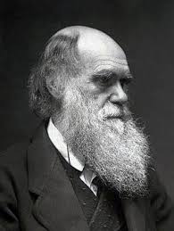 He was the fifth child of six. Charles Darwin Biography Biography Online