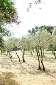 Mariage Provence Cevenole Mickael Barbier Lasoeurdelamariee 4 En 2020 Mariage Provence