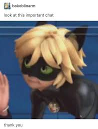 Awww Chat Is So Cute Miraculous Ladybug Comic Miraculous Ladybug Funny Miraculous Ladybug Anime
