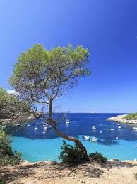 Photographic Print Spain Balearic Islands Ibiza Cala Salada Beach By Michele Falzone 24x18in Lugares Incriveis Ilhas Baleares Viagens
