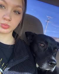 Lost pup named Prince in Nassau, Bahamas