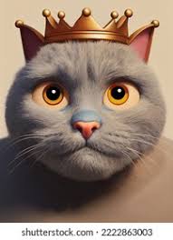 5+ Thousand Grumpy Cat Face Royalty-Free Images, Stock Photos & Pictures