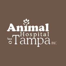 Animal hospital of tampa inc, in tampa, florida, offers expert veterinary care for dogs and cats, as well as, various pocket mammals, such as hamsters, rats, and guinea pigs. 17 Best Tampa Veterinarians Expertise
