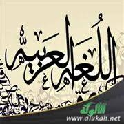 مستويات اللغة العربية