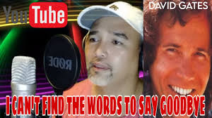 I CAN'T FIND THE WORDS TO SAY GOODBYE