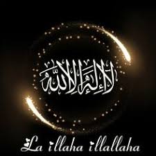 Download now 3d live wallpaper ikan cupang di hp android mini aquarium download now best download gambar ikan koi bergerak goodgambar. Andri Dago Dagoandri28 Profil Pinterest