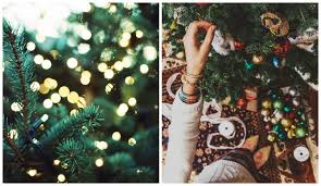 Uma árvore verde de natal toda enfeitada com laços vermelhos e dourados fica um charme! O Que Fazer E O Que Nao Fazer Na Hora De Decorar A Arvore De Natal
