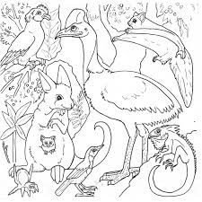 The australian outback features some remarkable animals: Australia Coloring Pages Coloring Home