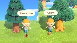 Trees are necessary to improve your island's score, and they provide. Acorn Pine Cone Diy Crafting Recipes How To Find Get Them In Animal Crossing New Horizons Acnh Guides Animal Crossing World