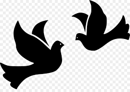 Download Dove Bird Clipart Bird Silhouette Wing Transparent Clip Art