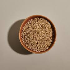 So many virtues to gain, so many vices. Yellow Mustard Seeds For Sale The Spice House