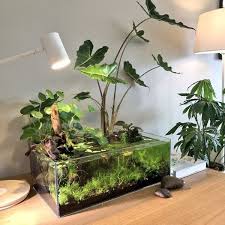 Brilliant Indoor Water Garden Ideas Indoor Water Garden Indoor Pond Plants
