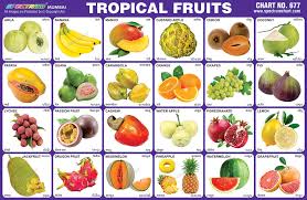Spectrum Educational Charts Chart 677 Tropical Fruits