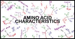 Understanding Amino Acid Side Chain Characteristics For The
